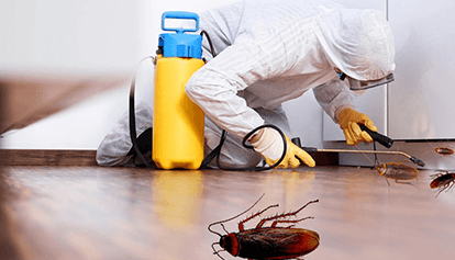 Pest Control Services Lahore