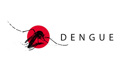 Pest Control Services Lahore