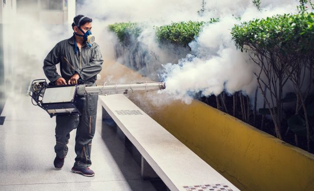 Pest Control Services Lahore