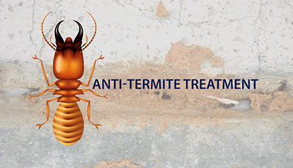 Pest Control Services Lahore